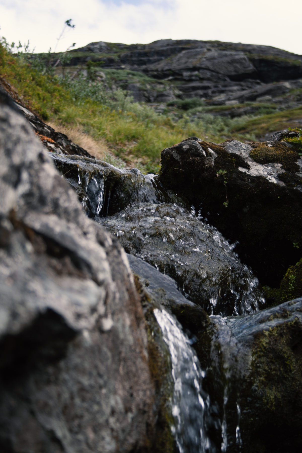 Creek in Norway